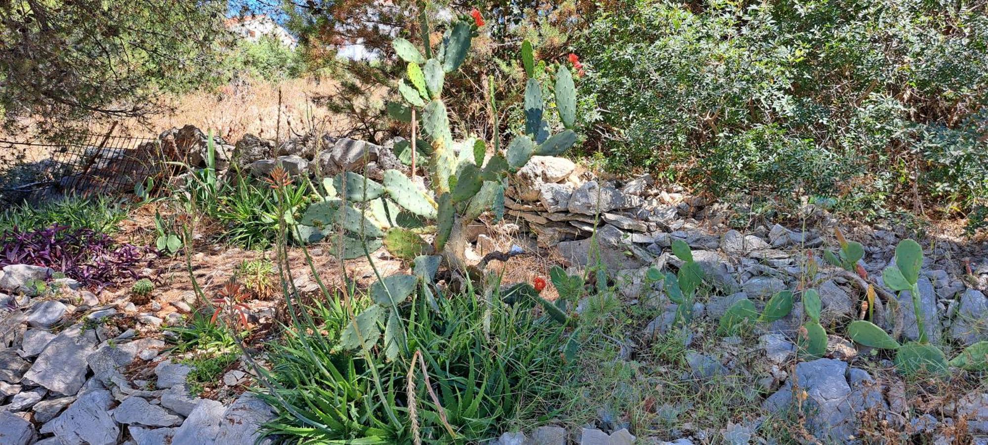 חוואר Apartments Villa Bella Vista Hvar מראה חיצוני תמונה
