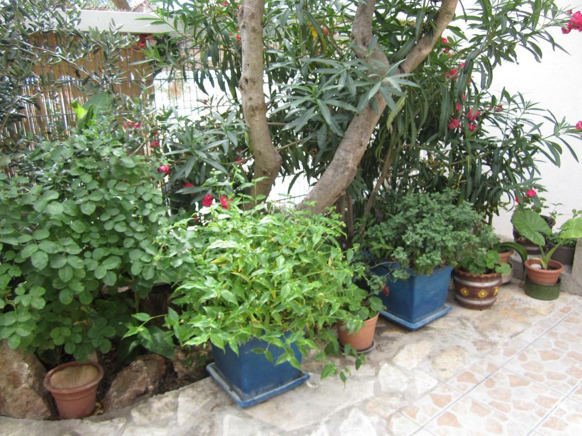 חוואר Apartments Villa Bella Vista Hvar מראה חיצוני תמונה